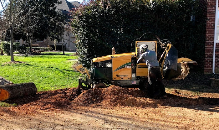 Stump-Grinding Stump-Grinding