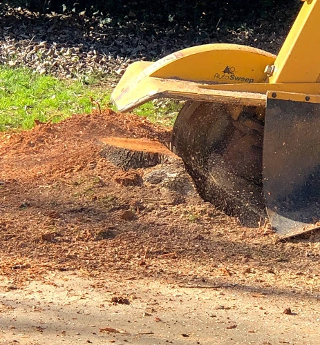Stump-Grinding with machine Stump-Grinding with machine