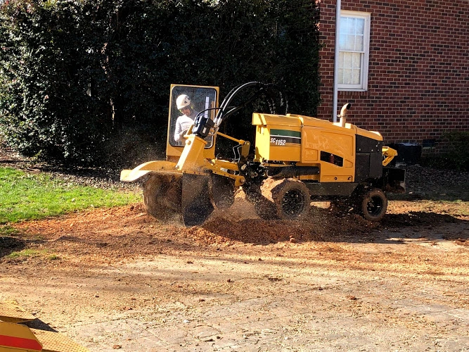 a man with a machine Stump-Grind a man with a machine Stump-Grind