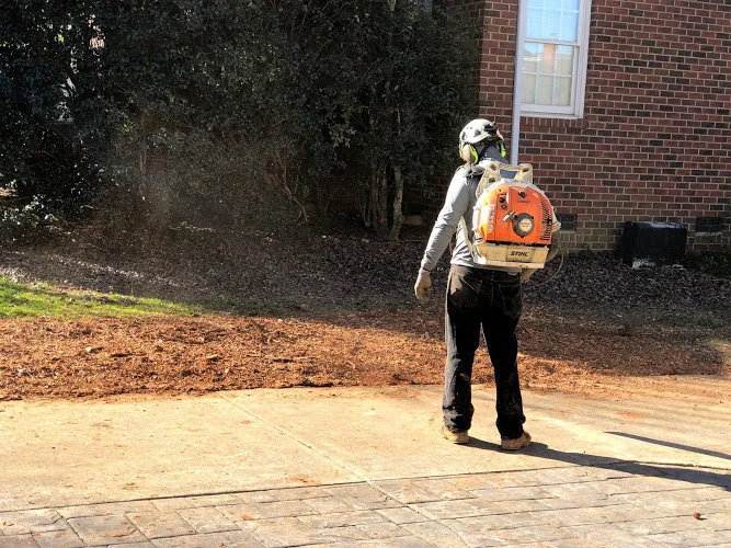 a person cleaning the lawn person using a lead blower