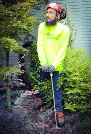 Featured image for “Fall Plant Health Care Services: Ensuring Your Trees and Plants Thrive Year-Round”