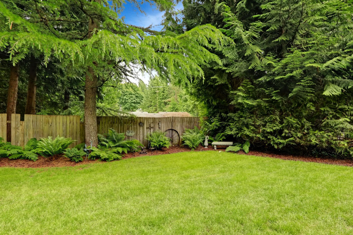 Featured image for “Tips on How to Keep Your Trees Healthy”